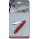 Ніж Victorinox Floral Matt Red Blister (3.9050.B1) - зображення 2