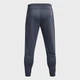 Спортивные штаны утепленные мужские Under Armour Ua Af Storm Pants 1373784-044 L Серые (196883701162) - изображение 5