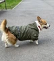 Куртка для собак Jacket Хаки размер L - изображение 2