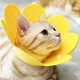 Воротник-ошейник "для заживления ран" для собак и кошек Yellow Flower Size S - изображение 2