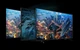 Телевизор Sharp QLED 50" 4T-C50FP1EL2AB - изображение 17