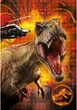 Puzzle 3 w 1 Clementoni Jurassic World 3 po 48 elementów (8005125252503) - obraz 2