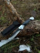 Складной нож Lion Knives Пантера 21 см - изображение 1