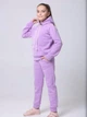Дитячий теплий спортивний костюм (худи + штани) для дівчинки AVRORA AW171188 122-128 см Бузковий - зображення 3