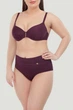 Плавки сліп Marc & Andre 5(XL) Бордовий (82890) - зображення 2
