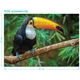 Пазл "Тукан", 500 елементів Dodo (4820198243173) - зображення 2