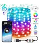 Умная гирлянда Smart РОСА BlueTooth, управление смартфоном, на USB 10м 100 LED DL разноцветная SZ-19071-88 - изображение 2