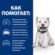 Сухий корм для собак Hill's Prescription Diet Derm Complete Mini 1 кг - яйця та рис - зображення 4