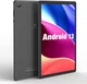 Планшет 10.1" Pritom M10 Lite 2/32Gb 4 ядра Android 12 6000mAh Серый - изображение 1