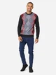 Джемпер мужской Pierre Cardin RGYL KNTTD 31839708 3XL Серый/Бордовый/Черный - изображение 5