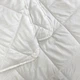 Одеяло ТЕП "Four Season" microfiber 180х210 (1-00201) - изображение 4