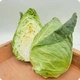 Капуста белокачанная Сердце Быка НК Элит 1 г - изображение 4