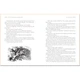 Alice's Adventures in Wonderland and Through the Looking-Glass. Lewis Carroll. ISBN:9780785839927 - зображення 4