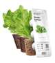 Wkład wymienny Click&Grow Sałatka zielona 3 szt (4742793007731) - obraz 1