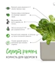 Сменный картридж Click&Grow Салат Ромен 3 шт (4742793008820) - изображение 6