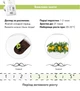 Сменный картридж Click&Grow Сладкий перец 3 шт (4742793008950) - изображение 5