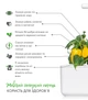 Сменный картридж Click&Grow Сладкий перец 3 шт (4742793008950) - изображение 6