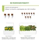 Сменный картридж Click&Grow Сладкий перец 3 шт (4742793008950) - изображение 8