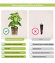 Сменный картридж Click&Grow Мини томат 3 шт (4742793007304) - изображение 4