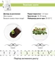 Сменный картридж Click&Grow Мини томат 3 шт (4742793007304) - изображение 5