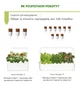 Сменный картридж Click&Grow Мини томат 3 шт (4742793007304) - изображение 8