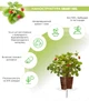 Сменный картридж Click&Grow Дикая клубника (4742793007410) - изображение 2