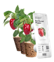 Wkład wymienny Click&Grow czerwona papryka 3 kapsułki (4742793009278) - obraz 1
