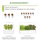 Wkład wymienny Click&Grow żółte mini pomidory 3 kapsułki (4742793009124) - obraz 2