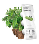 Сменный картридж Click&Grow карликовый горошек 3 капсулы (4742793008998) - изображение 1