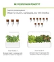 Сменный картридж Click&Grow карликовый горошек 3 капсулы (4742793008998) - изображение 8