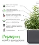 Сменный картридж Click&Grow Розмарин 3 шт (4742793008936) - изображение 7