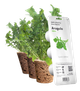Wkład wymienny Click&Grow Rukola 3 szt (4742793008769) - obraz 1