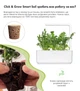 Сменный картридж Click&Grow Руккола 3 шт (4742793008769) - изображение 3