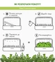 Сменный картридж Click&Grow Руккола 3 шт (4742793008769) - изображение 8