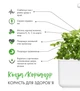 Змінний картридж Click&Grow Коріандр (8417) - изображение 10
