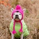 Шапка для собак и кошек "Beauty" Pink Size S - зображення 10