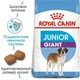 Сухий корм для щенят Royal Canin Giant Junior для гігантських порід від 8 місяців 15 кг - зображення 2