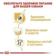 Сухий корм для собак Royal Canin German Shepherd Adult для дорослої німецької вівчарки 11 кг - зображення 3