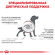 Сухой корм для собак Royal Canin Gastrointestinal при расстройствах пищеварения 15 кг - изображение 3