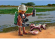 Набір фігурок Playmobil Special Plus Researcher with Young Caiman (4008789711687) - зображення 3