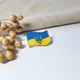 Брошка-шпилька значок срібний Прапор України з Тризубом із жовто-блакитною емаллю срібло 925 7074 2.90г - зображення 1