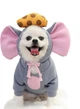 Толстовка для собак с ушками "СИМПАТЯЖКА" Grey Size S - изображение 1