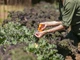 Ножиці універсальні Fiskars S92 (1000555/111030) - зображення 7