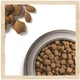 Сухой корм для активных и рабочих собак Dog Chow Active с курицей 14 кг (7613034487933) - изображение 10
