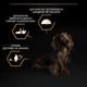 Сухий корм Purina PRO PLAN Small & Mini Adult 1+ Everyday Nutrion для дорослих собак дрібних порід, з куркою 700 г (7613035120778)A - изображение 7