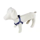 Нагрудник капроновый Lucky Pet "Вышиванка голубая" 16 мм/40-56 см (4820276191808) - изображение 2