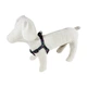 Нагрудник капроновый Lucky Pet "Цветочная ночь" 25 мм/50-81 см (4820276192096) - изображение 2