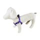 Нагрудник капроновый Lucky Pet "Коломыйка" 16 мм/40-56 см (4820276191884) - изображение 2