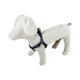 Нагрудник капроновый Lucky Pet "Украинская ночь" 25 мм/50-81 см (4820276192119) - изображение 2