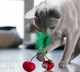 Игрушка для котов Petstages Dental Cherries (Вишня) 7х3х1,5 см (pt67833) - изображение 3